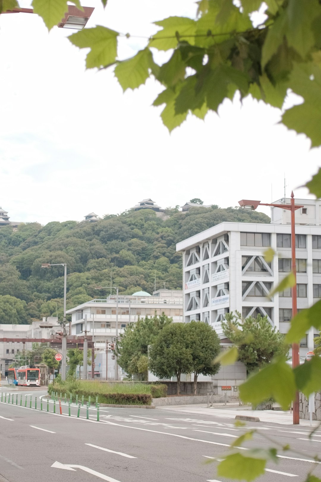 white concrete building near green trees during daytime