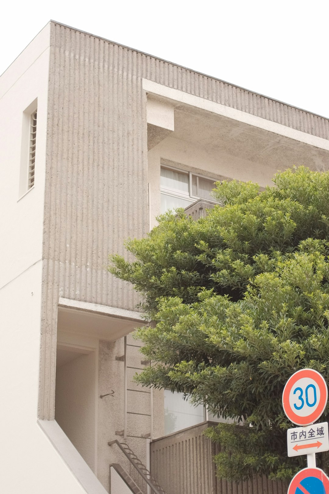 green tree beside white concrete building