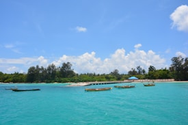 Several small boats float on clear turquoise water near a shoreline lined with lush green trees. A blue-roofed building is visible in the background under a sky filled with fluffy white clouds.