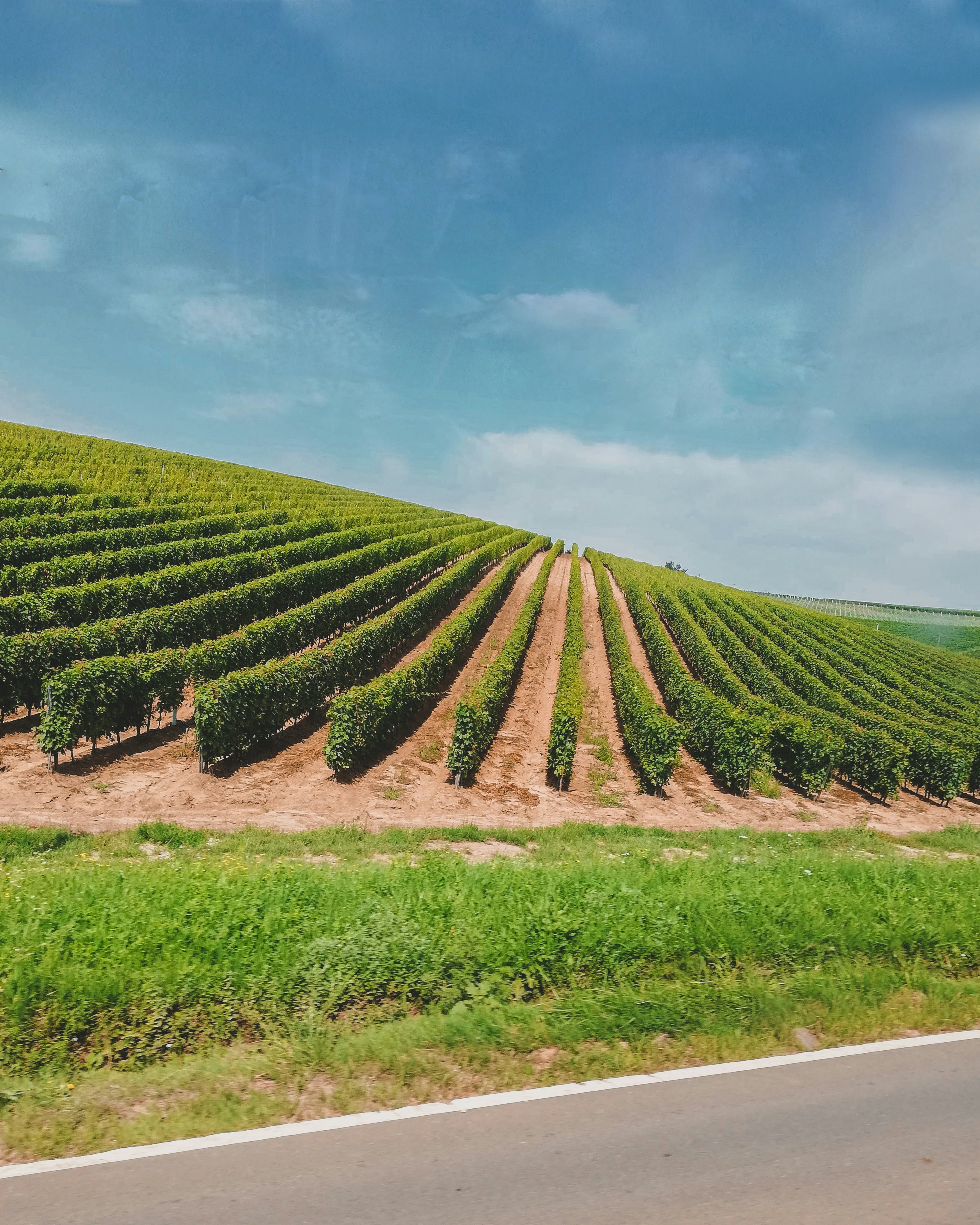 Photo by czapp_arpad