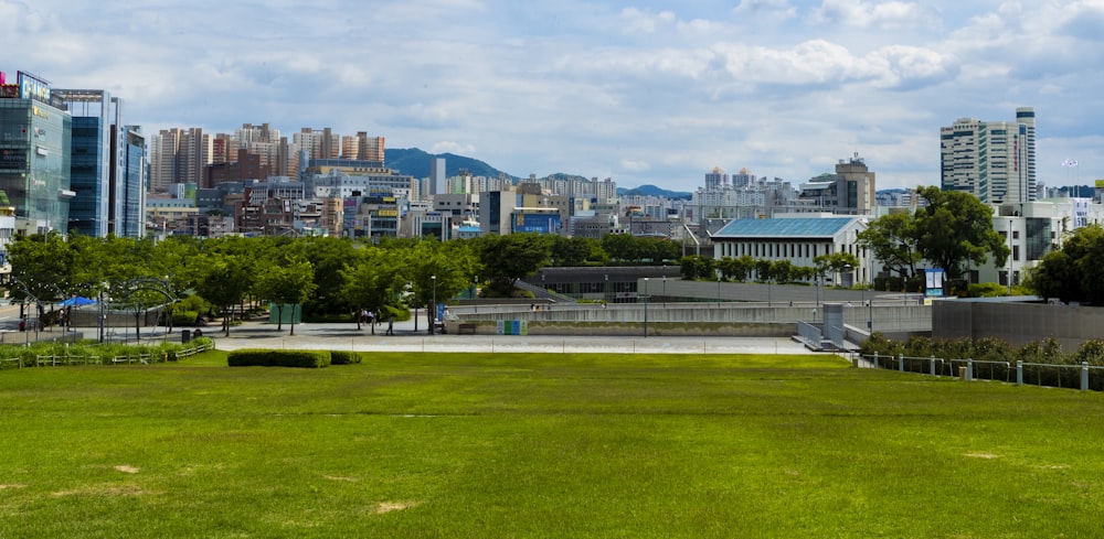 green grass field near city buildings during daytime