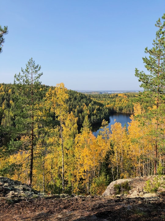 green trees near body of water during daytime in Rautalampi Finland