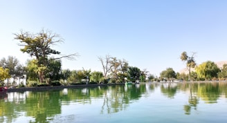 A serene pond reflecting the sky, with nearby trees.