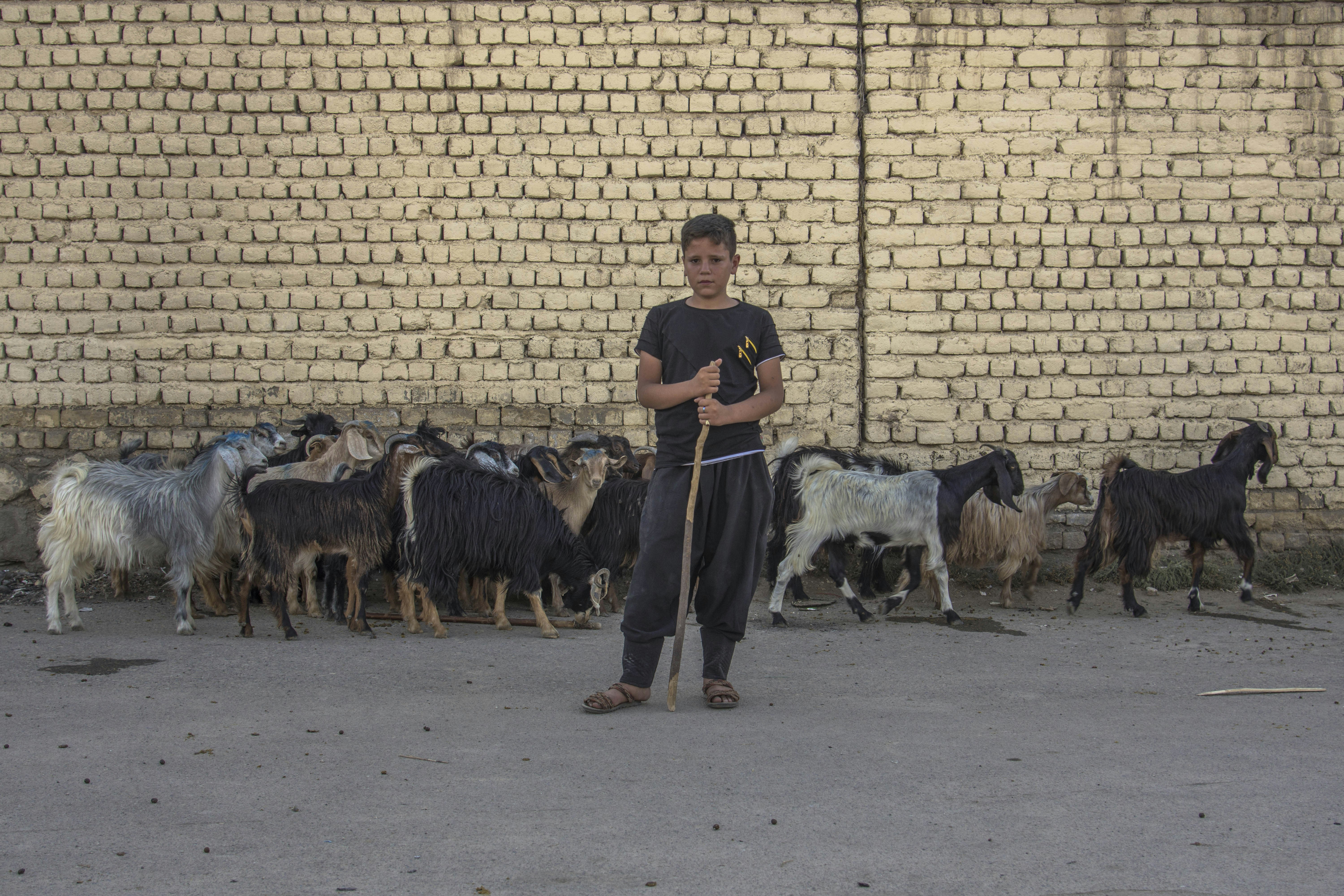 Photo by javad_esmaeili