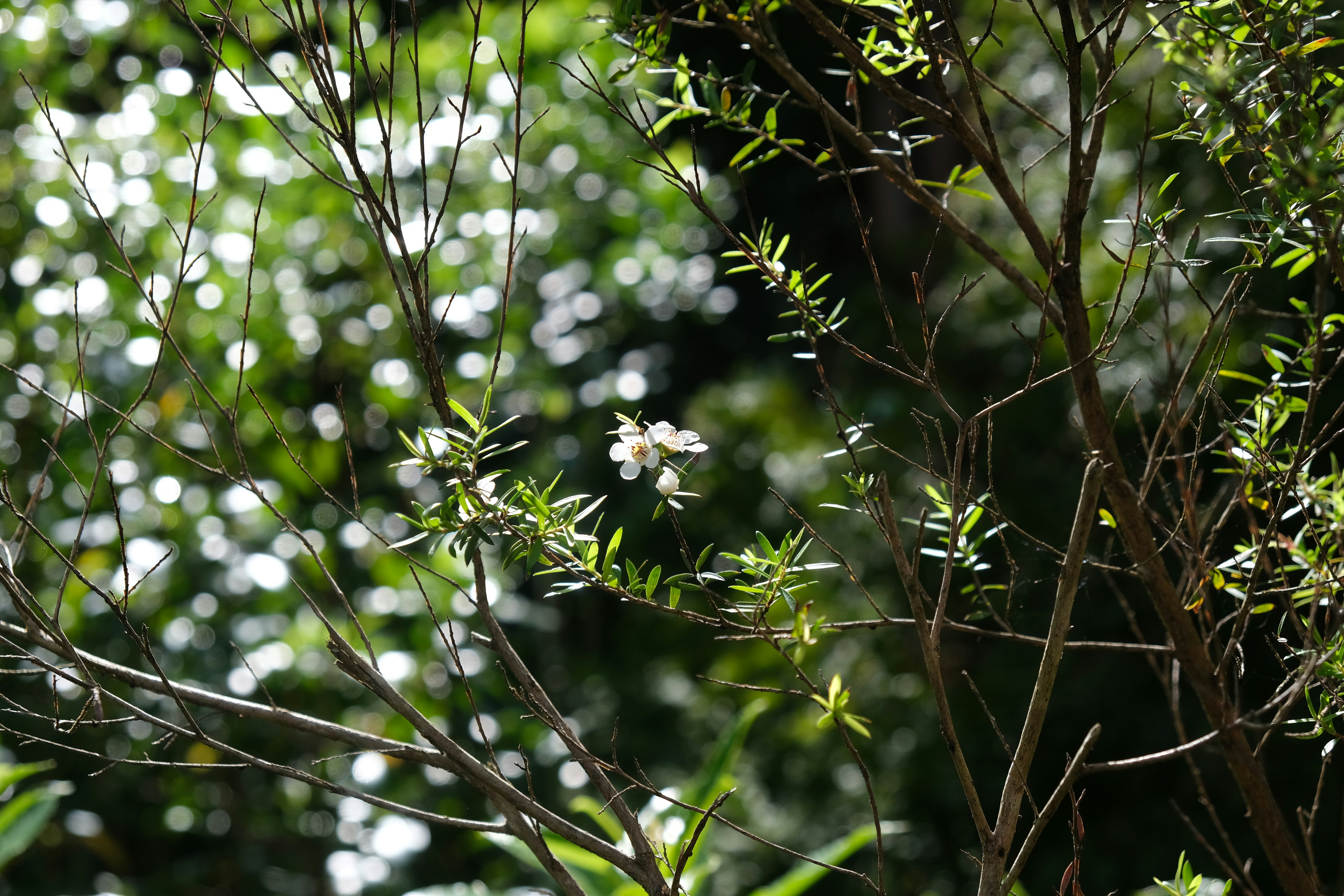 Photo by sammienguyen