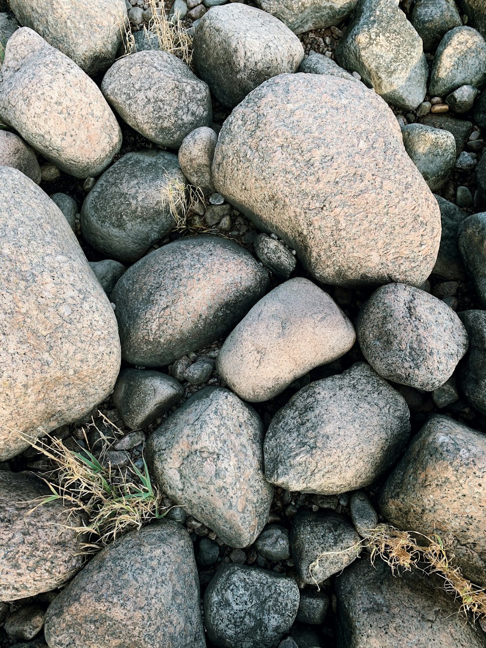 gray and white stone fragments