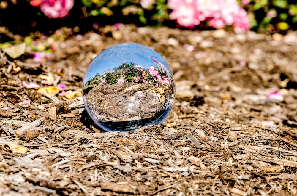 clear glass ball on brown soil