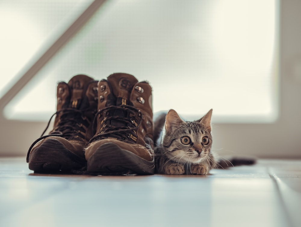 person wearing brown hiking boots