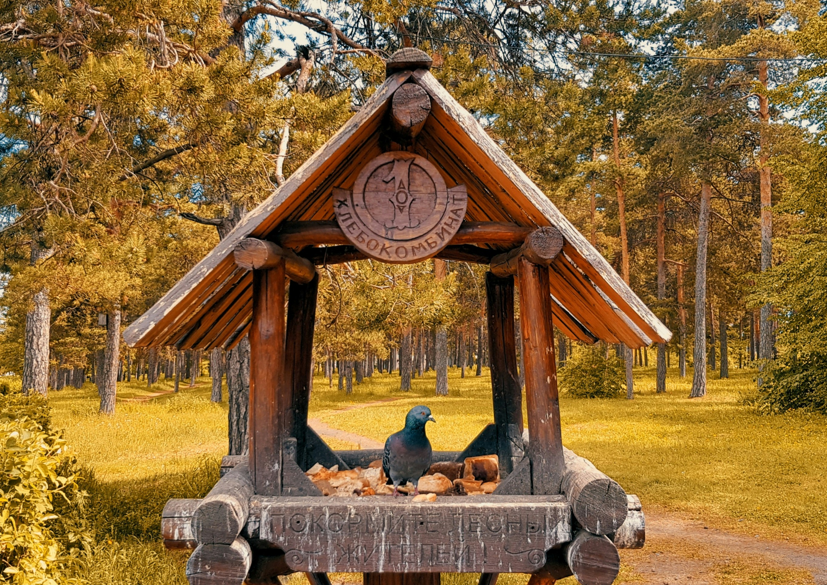 Hombre con camiseta negra sentado en un banco de madera marrón