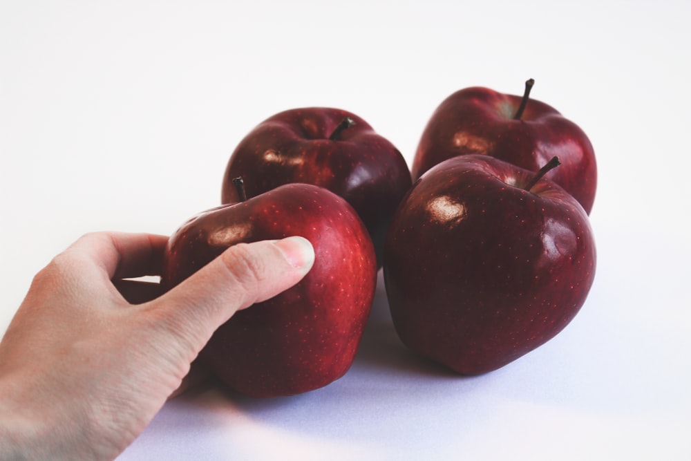 person holding red apple fruit