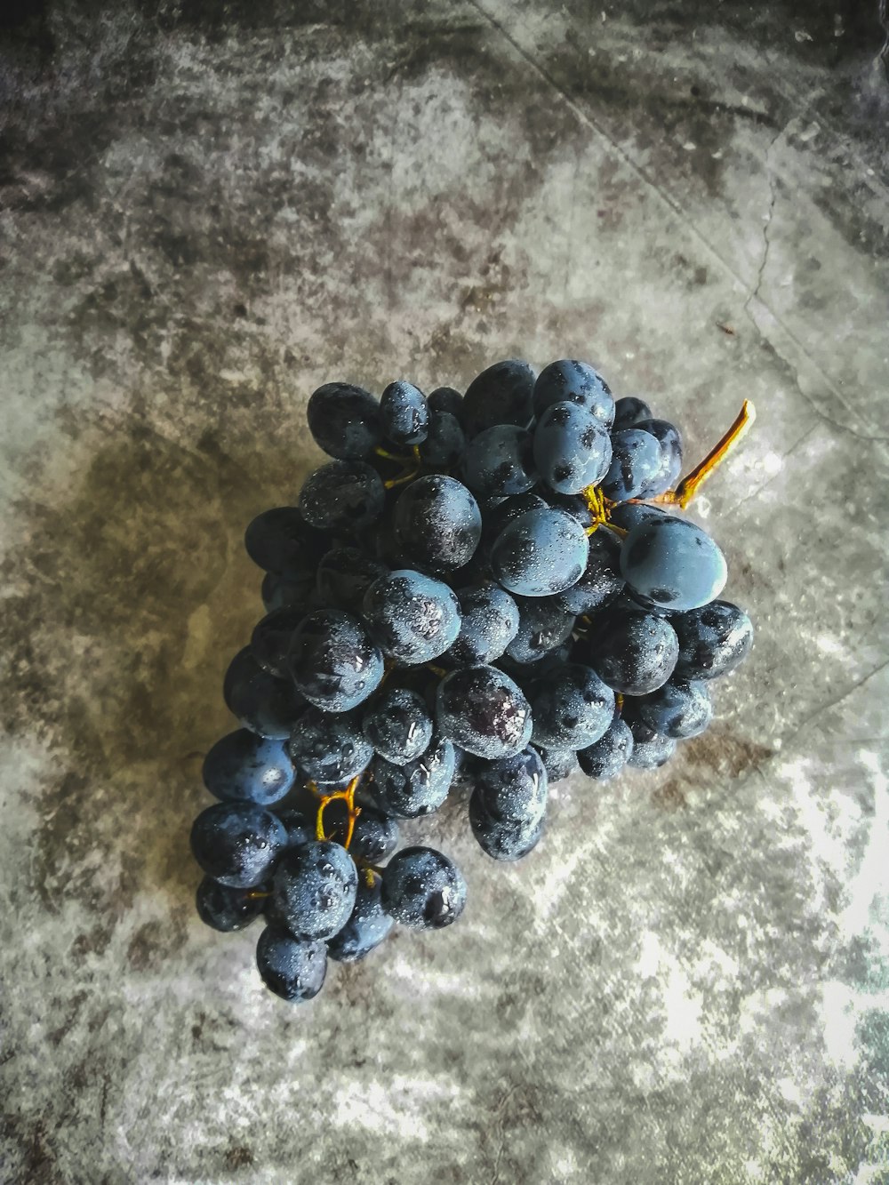 blaue Beeren auf grauem Betonboden