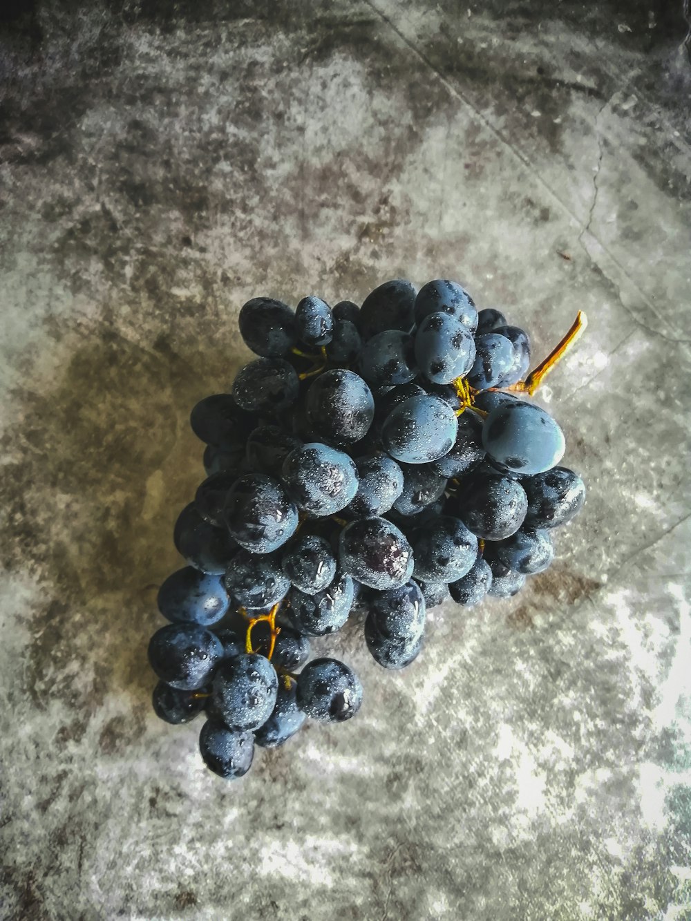 500+ Grapes Pictures [HQ] | Download Free Images on Unsplash