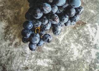 blue berries on gray concrete floor