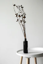 Minimalist still life with ivory and beige linens, golden accents, and a single olive branch.