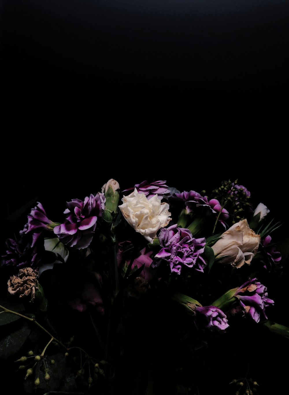 white and purple flowers with green leaves