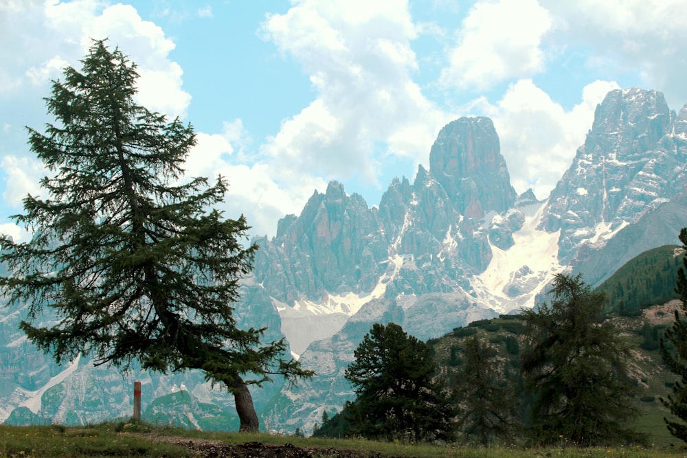 green trees near mountain under white clouds during daytime