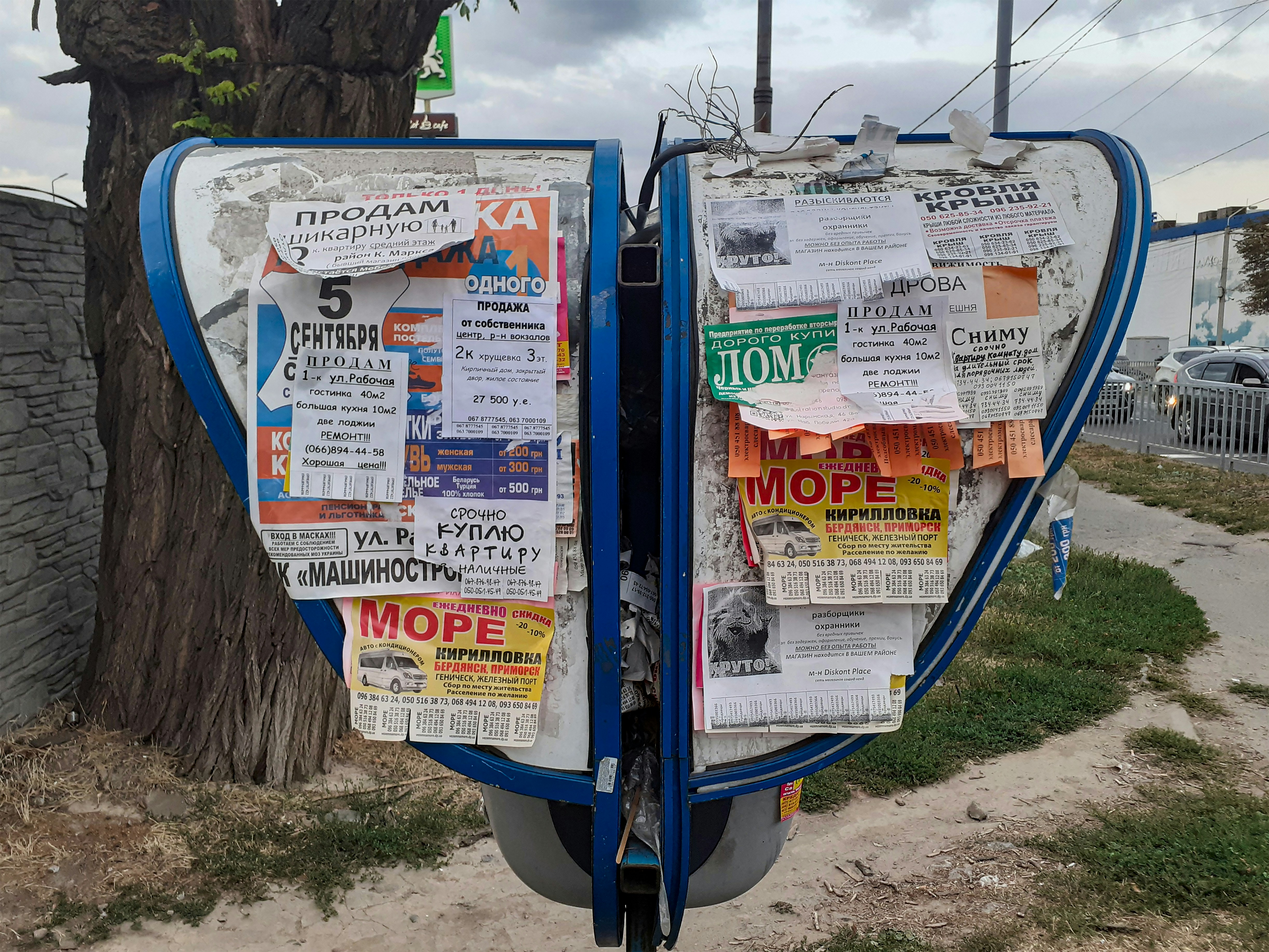Edictos y Avisos