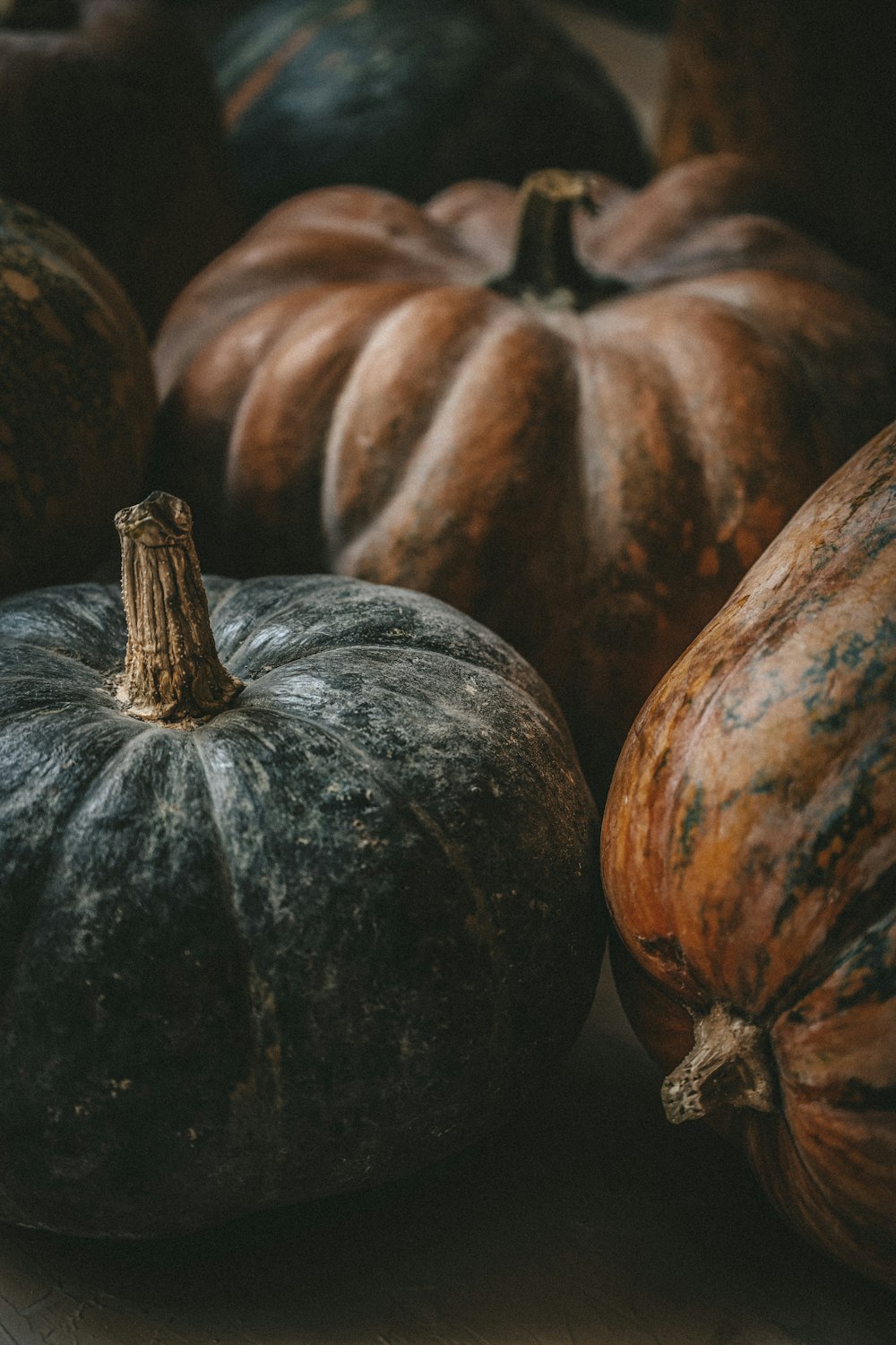 orange and black pumpkin on brown wooden table