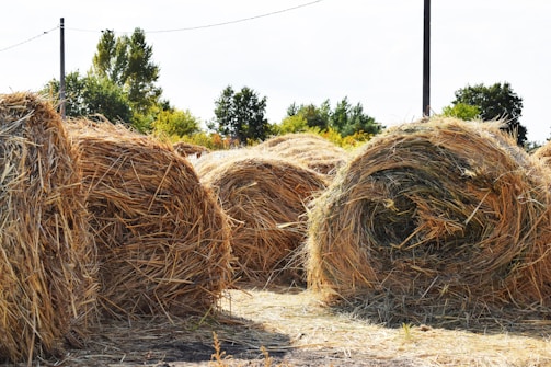 Close-up of golden hay bales stacked neatly in a sunny field.