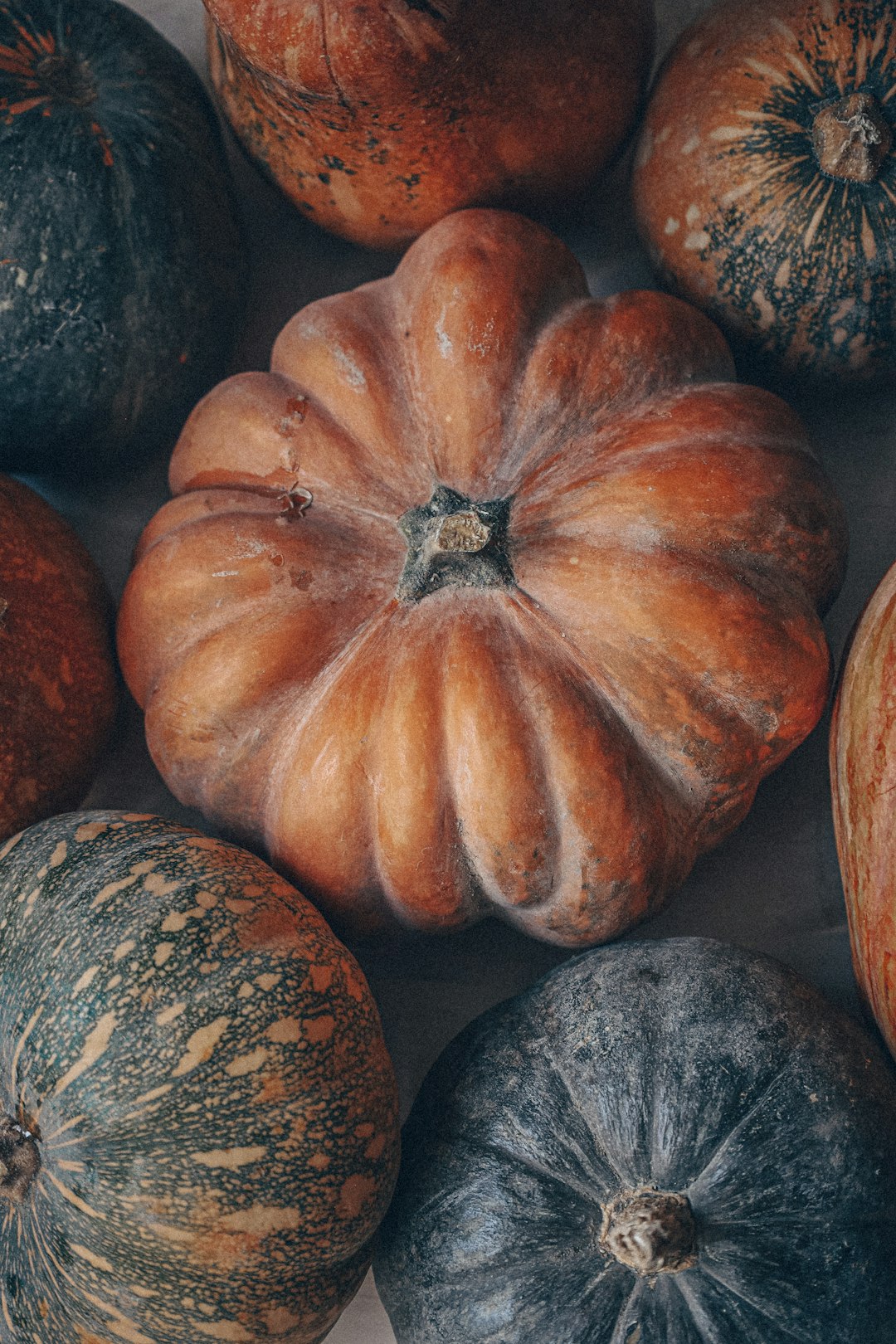 orange and black pumpkin on gray stone