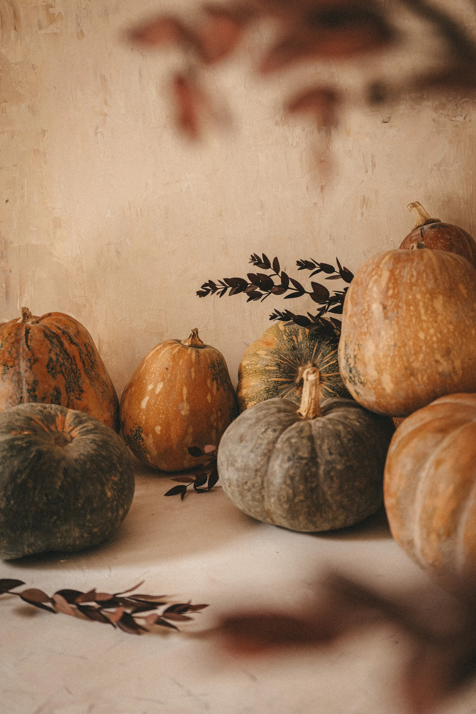 Potimarrons et courges d'automne posés sur une table, lumière douce