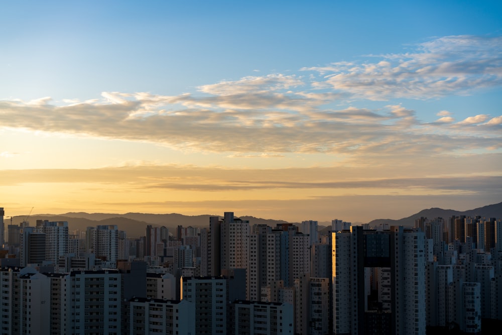 city skyline under blue sky during daytime