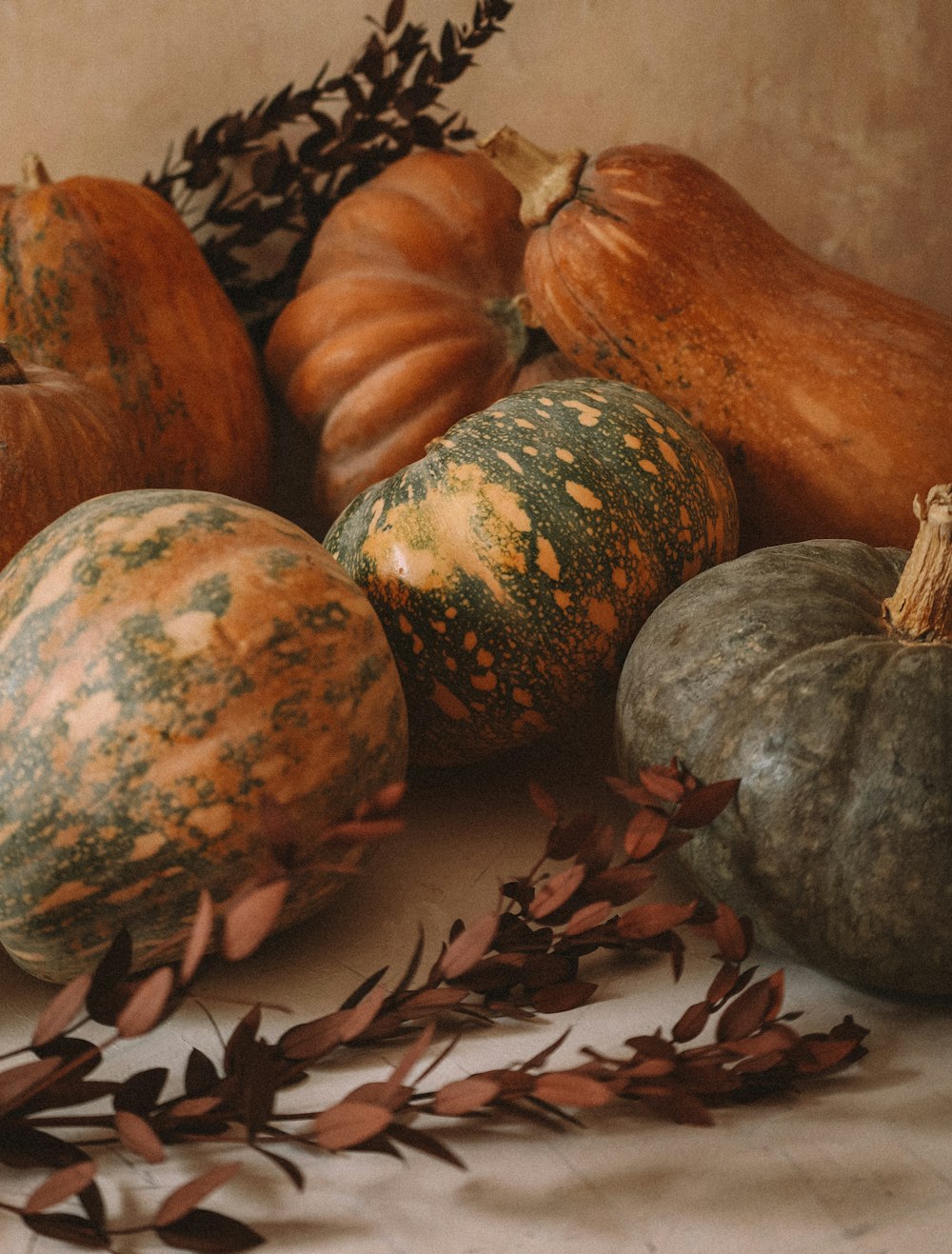 orange and green pumpkin on brown dried leaves