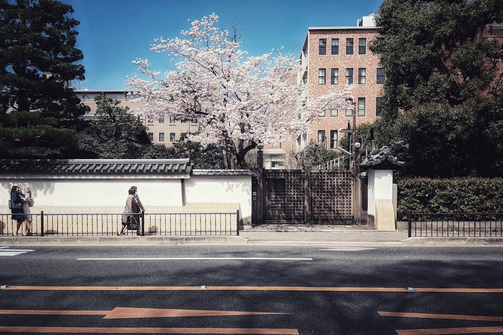 person in black jacket walking on sidewalk during daytime