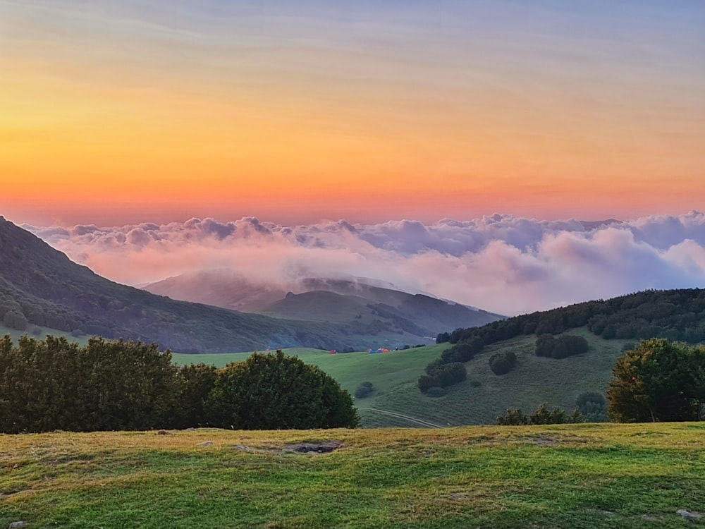 green grass field near green trees and mountains during daytime