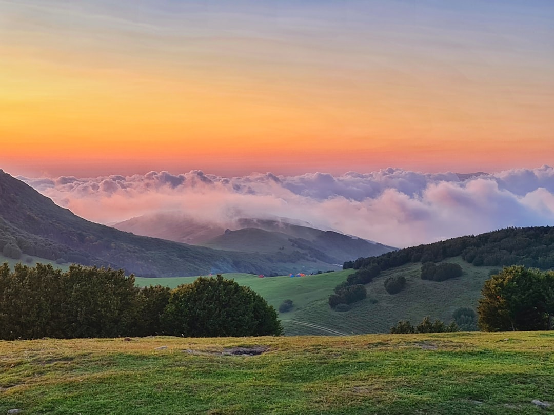 Escape to Nature: 6 Mesmerizing Series to Watch After Planet Earth… — Escape to Nature