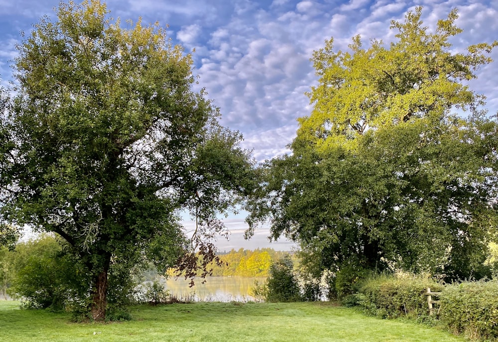 green grass field with green trees under blue sky and white clouds during daytime