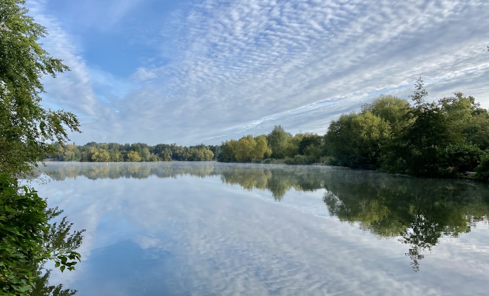 green trees beside river under blue sky during daytime