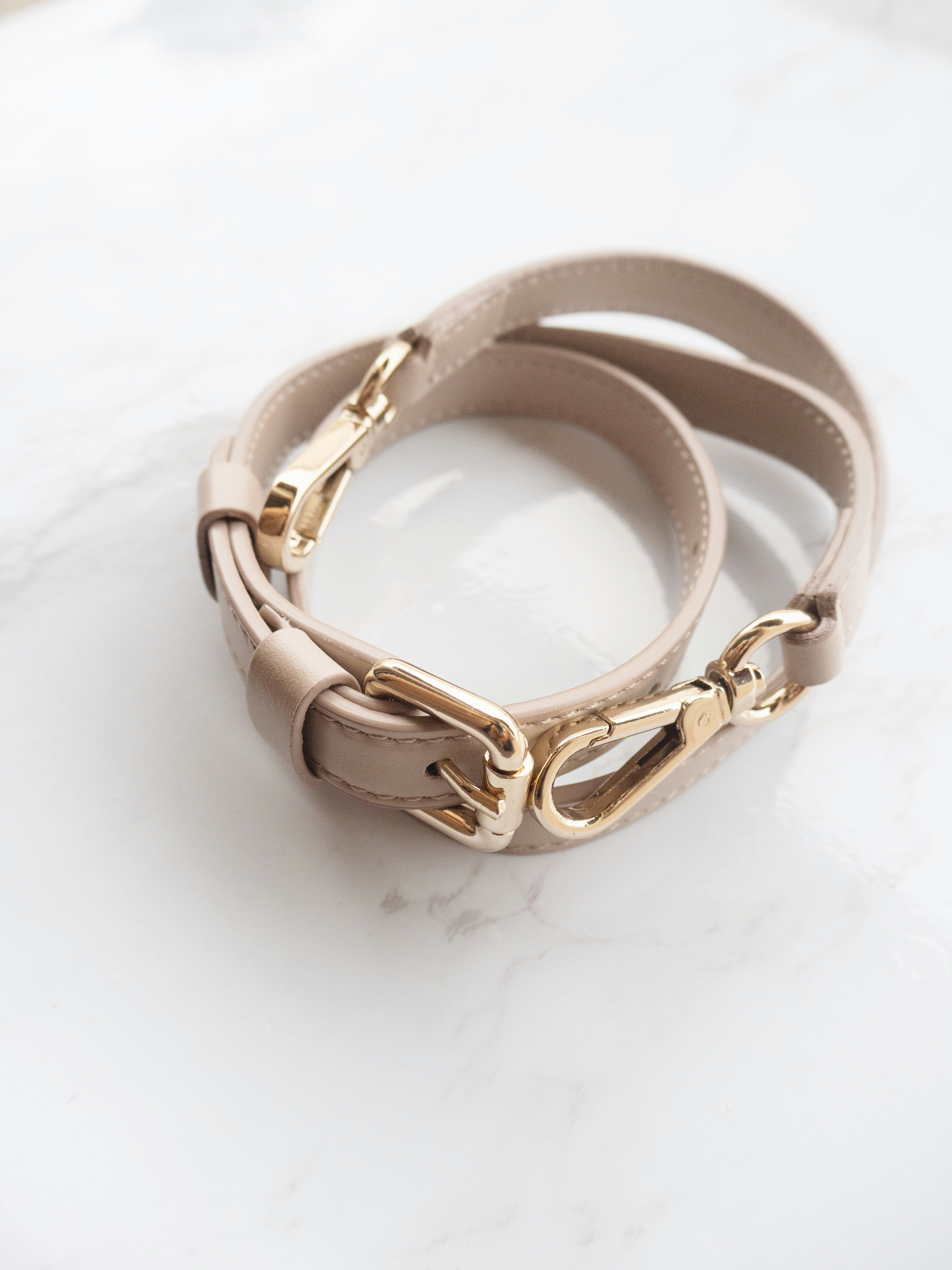 Photo by genesisswarner