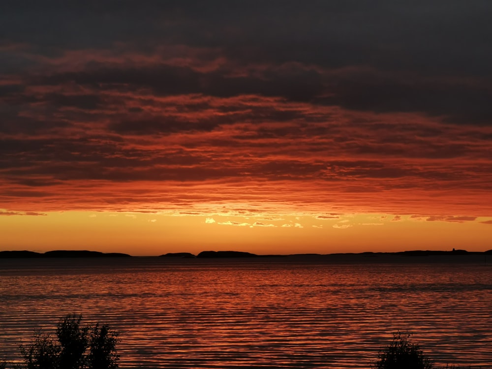 silhouette d’arbres près du plan d’eau au coucher du soleil