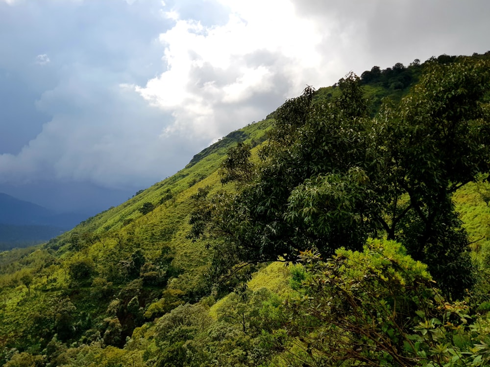 green trees on mountain under white clouds during daytime