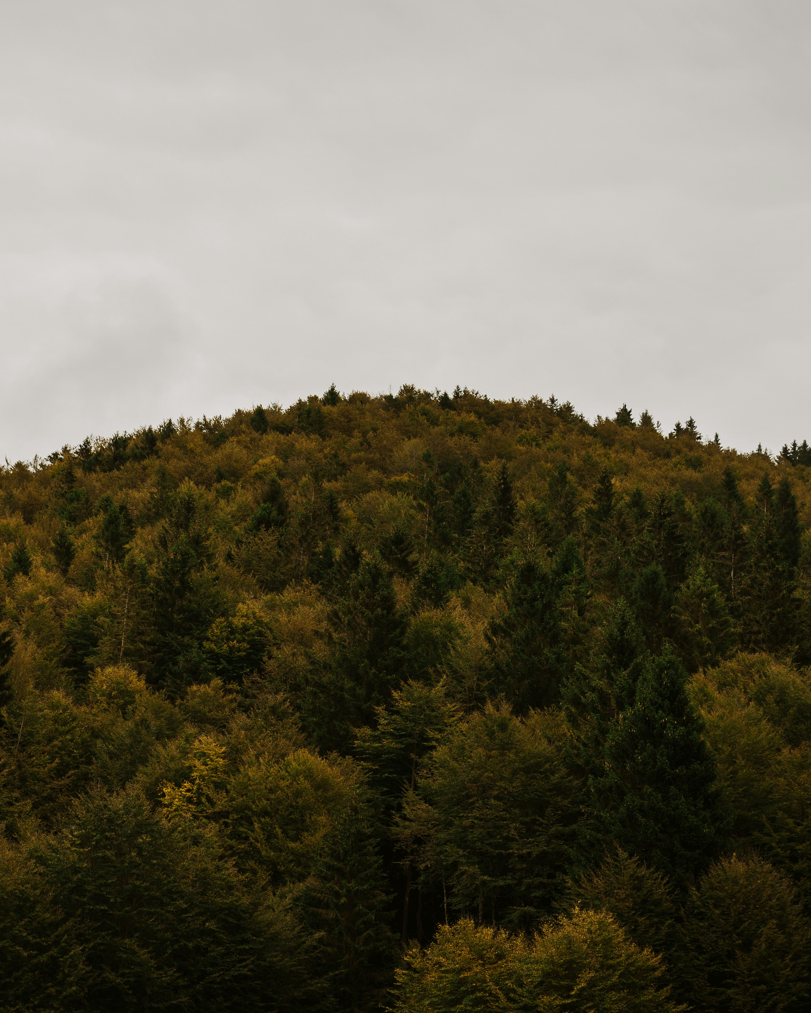 Photo by lorenzocerato