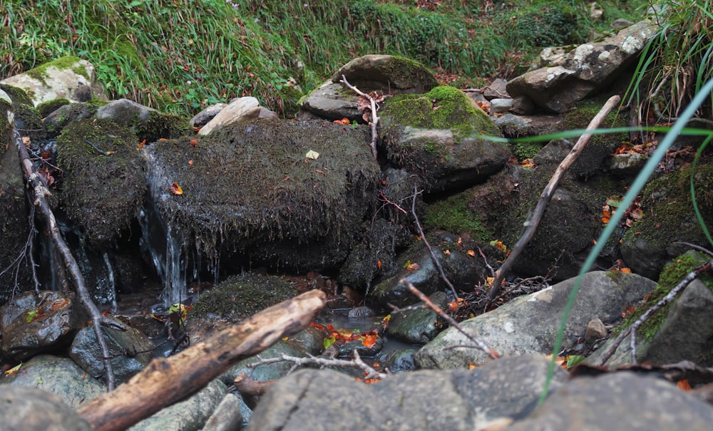 water flowing on gray rocks