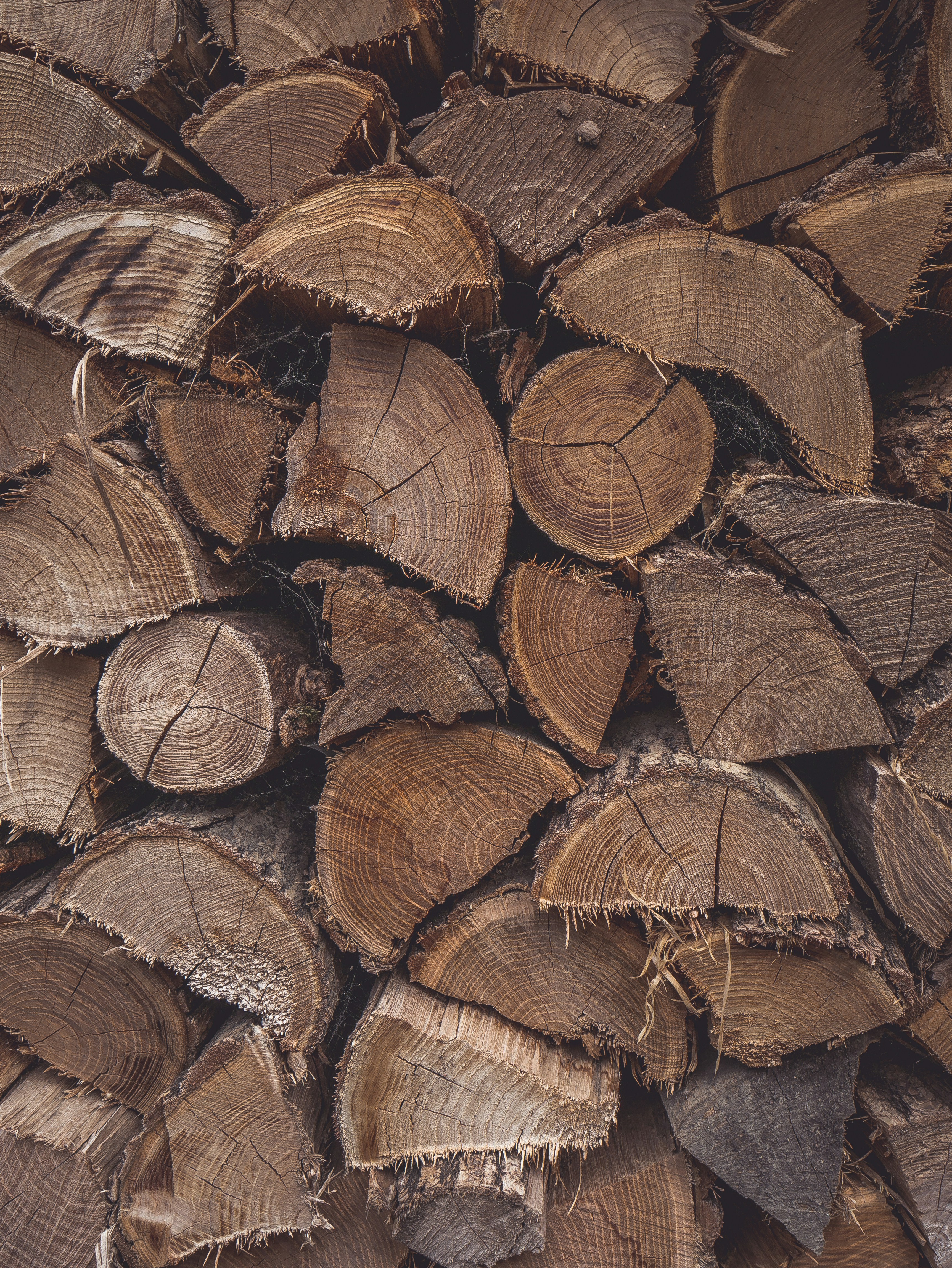 クローズ アップ写真で茶色の木製丸太ロットの写真 Unsplashで見つけるグレーの無料写真