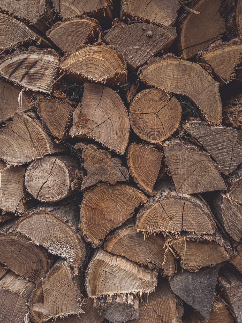 brown wooden log lot in close up photography