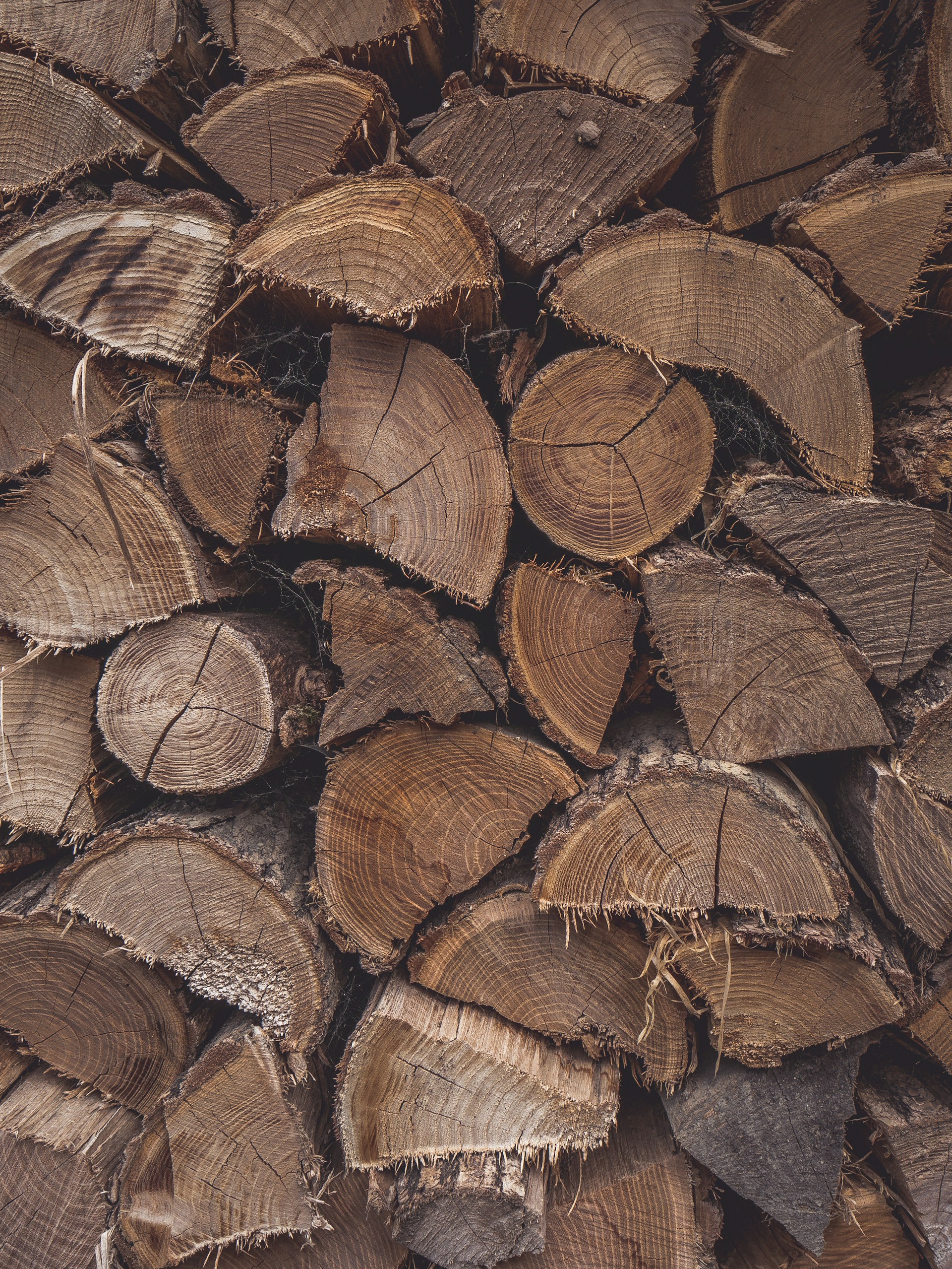 brown wooden log lot in close up photography