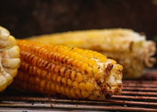 yellow corn on stainless steel tray