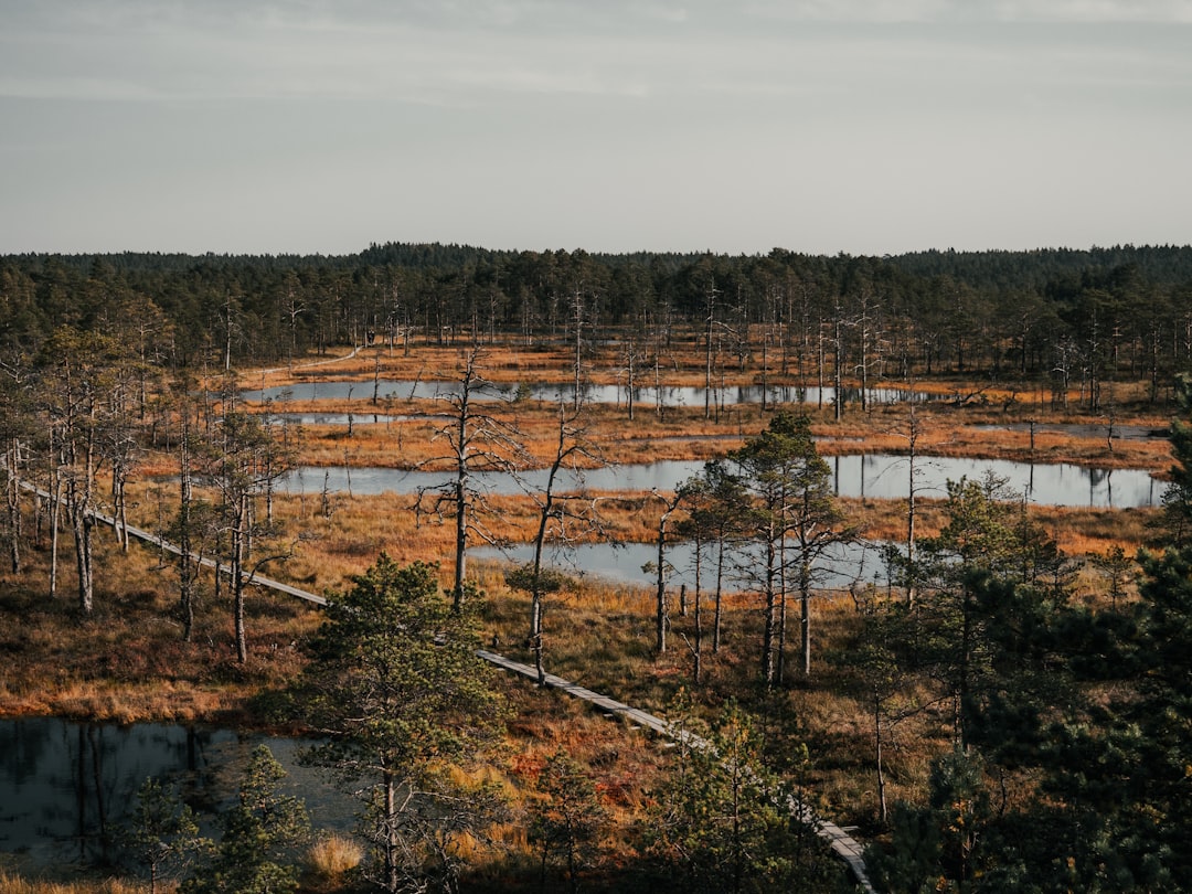 Nature reserve photo spot Tallinn Harku vald