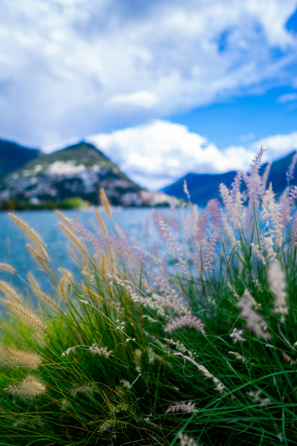 green grass field near snow covered mountain during daytime