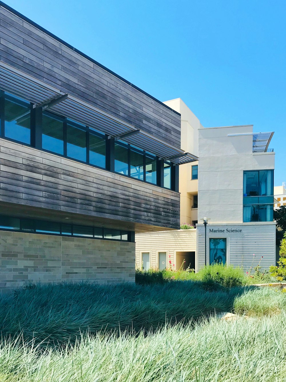 white and gray concrete building