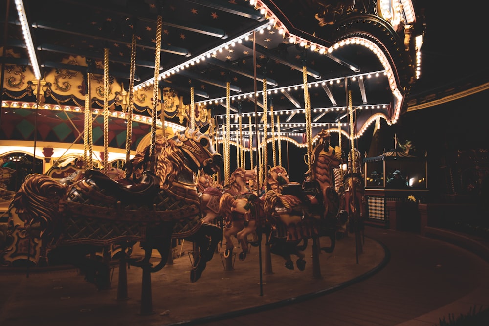 personnes qui montent sur le carrousel pendant la nuit