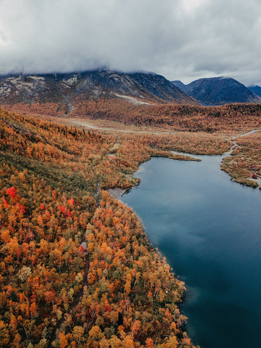 brown and green trees near lake during daytime