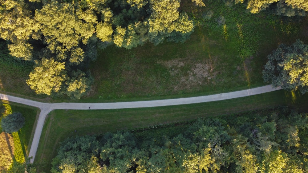 gray asphalt road between green trees during daytime