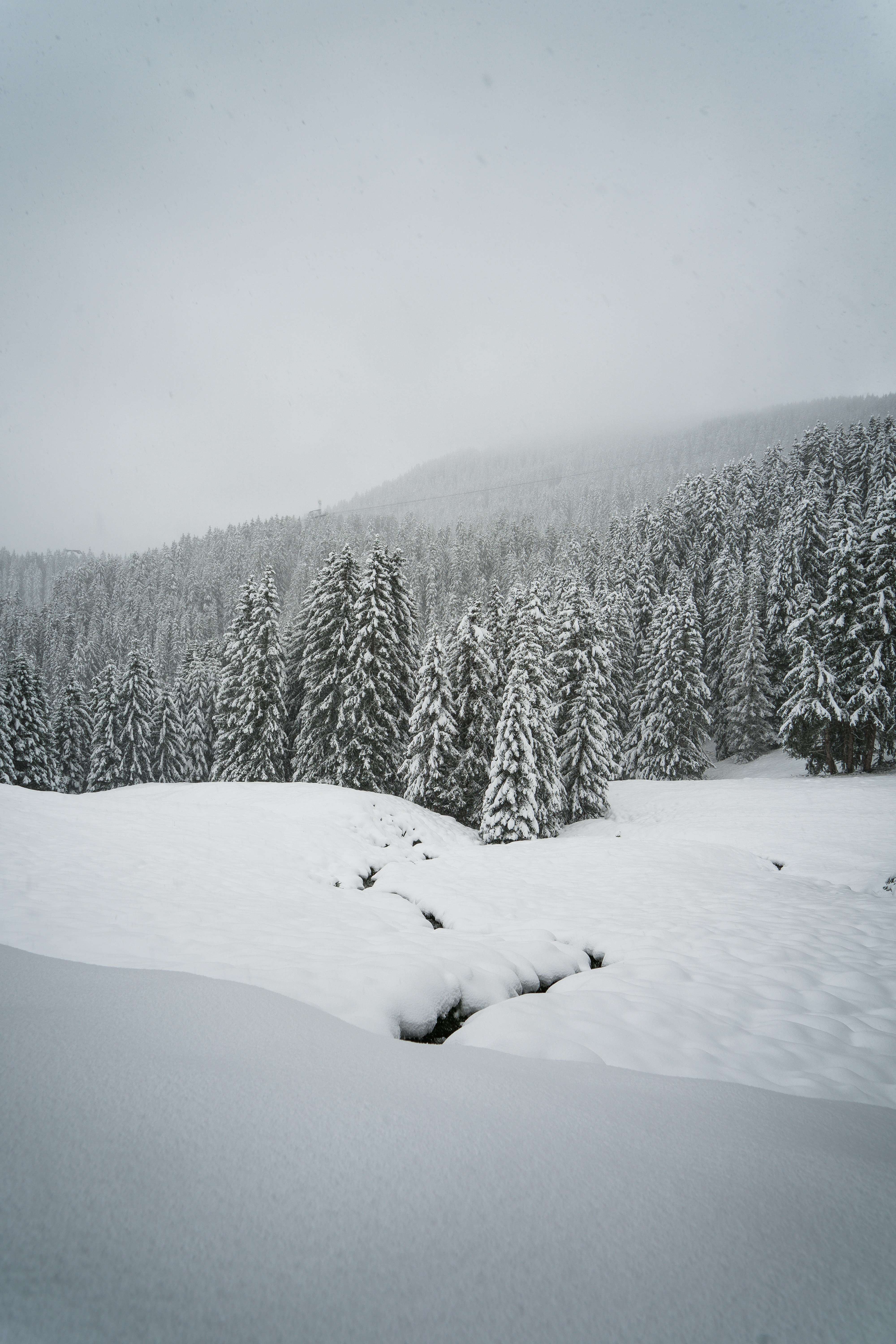 Photo by melimascella_