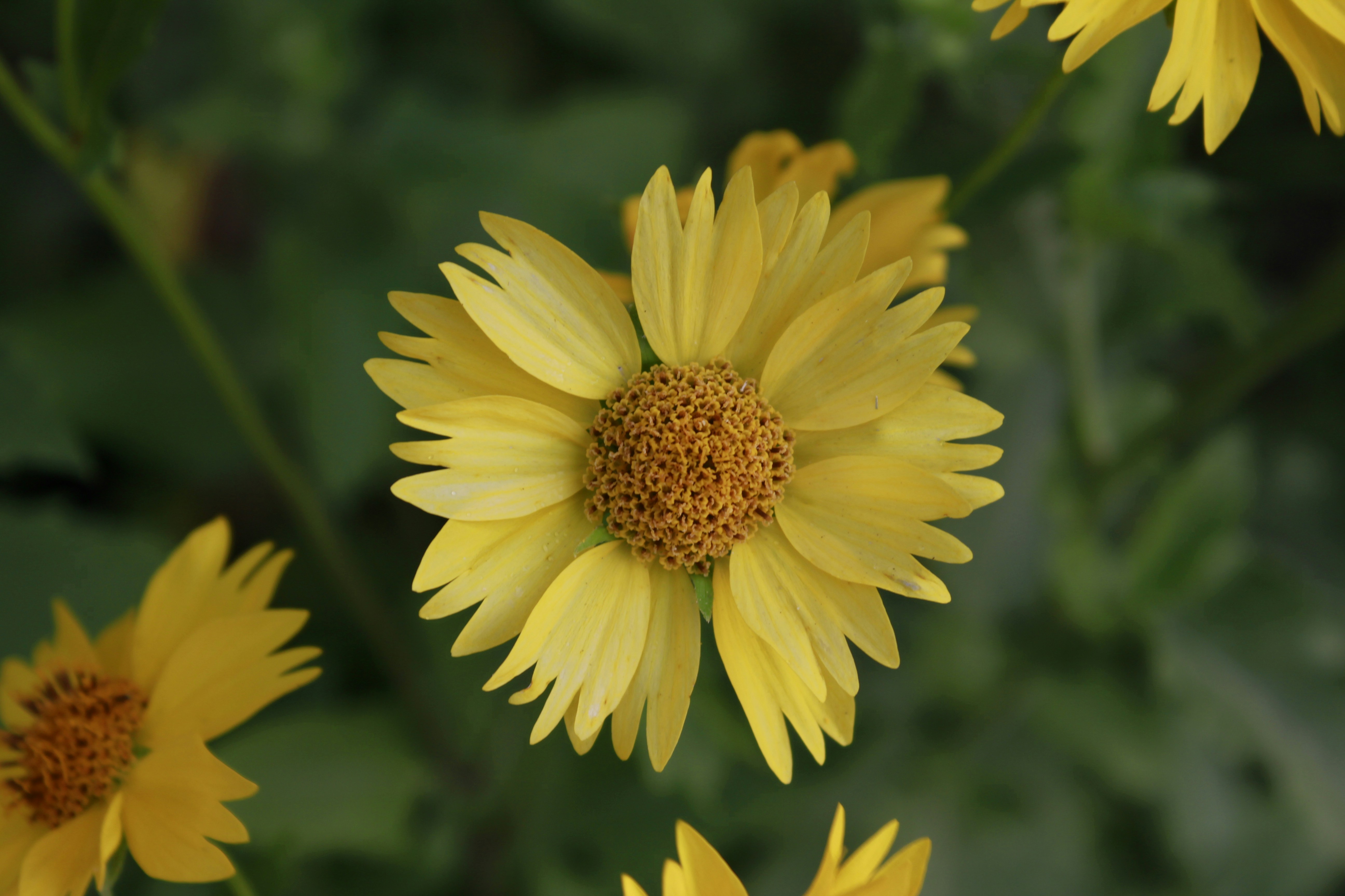 Photo by jabezimpano