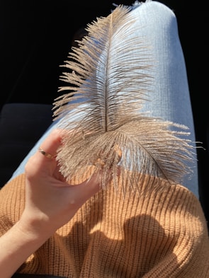 A close-up of delicate hands holding a feathered fan, with warm natural light highlighting the skin.